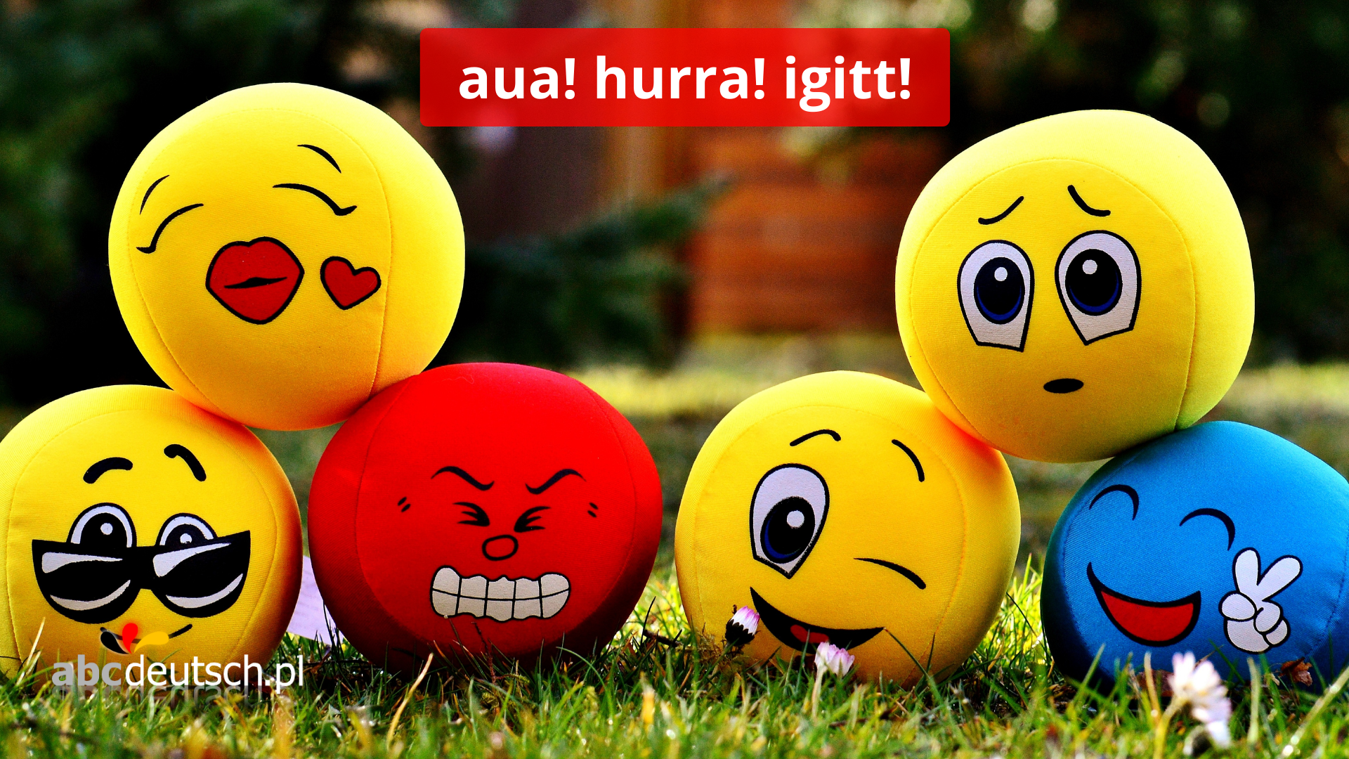 Interiekcje czyli wykrzykniki to ciekawe słowa. Pomagają wyrażać emocje w danej chwili. Czasem brzmią w różnych językach bardzo podobnie, co znacznie ułatwia naukę. A więc co krzyknąć, gdy coś ucieszy,  zaboli albo  wystraszy?