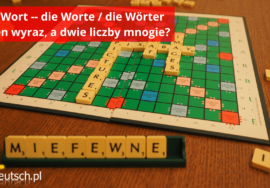 liczba mnoga das Wort / die Worte, die Wörter