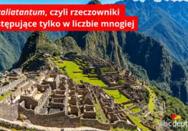 Pluraliatantum, czyli rzeczowniki występujące tylko w liczbie mnogiej