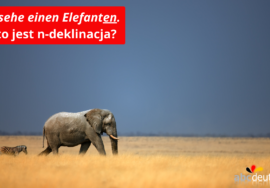 n-deklinacja