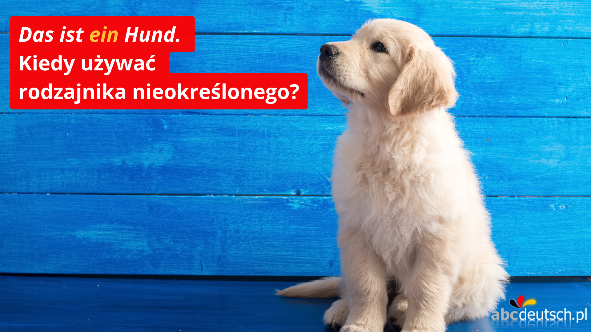 rodzajnik nieokreślony w języku niemieckim