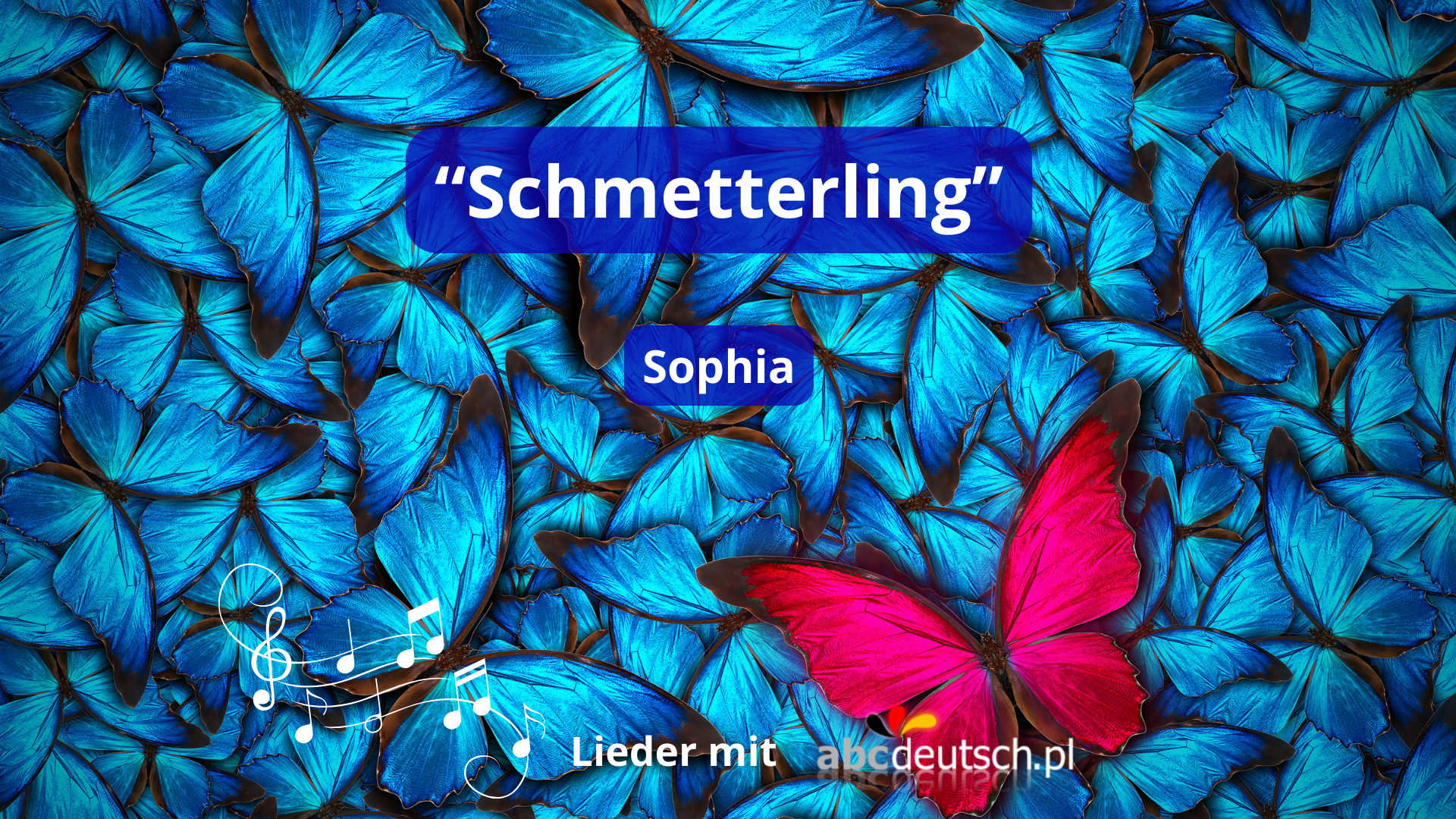 Schmetterling von Sophia