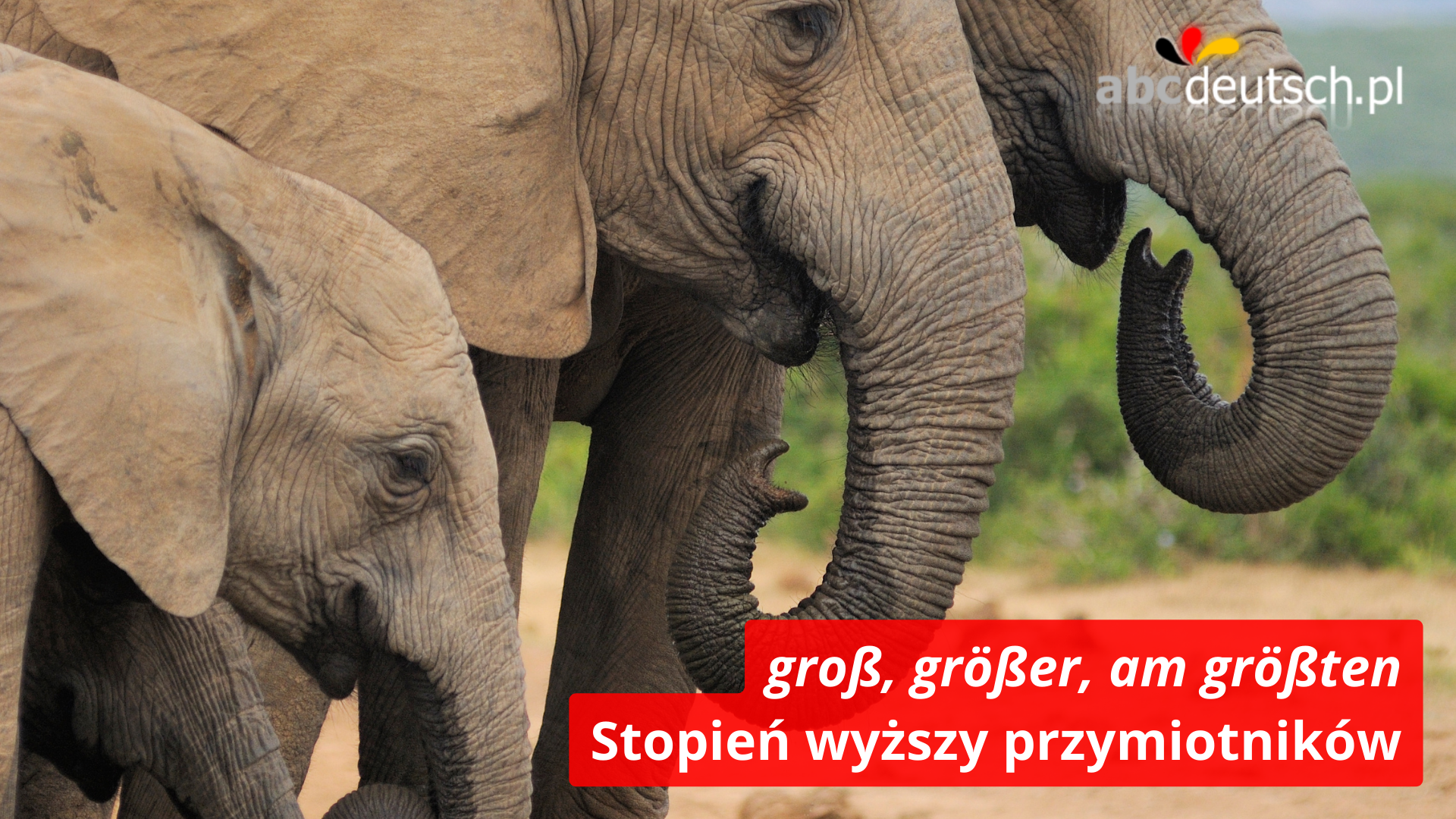 stopień wyższy Komparativ